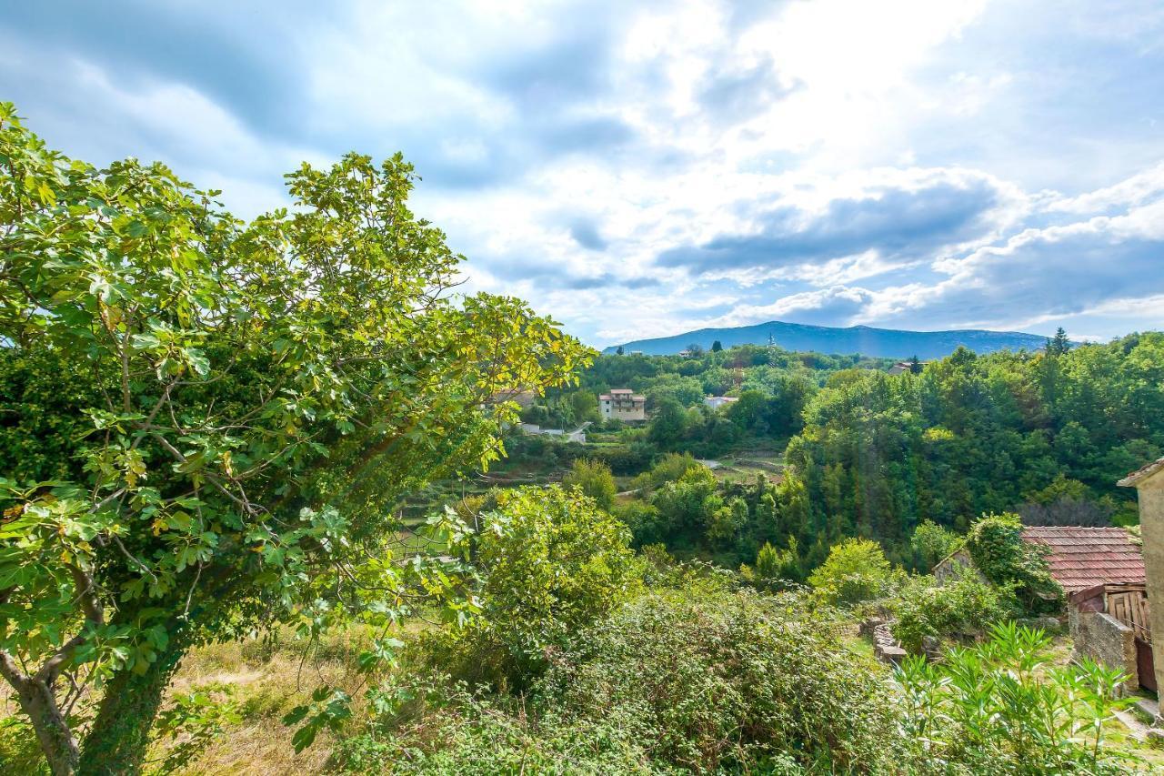 Villa Holiday Home Zvecanje Bagian luar foto